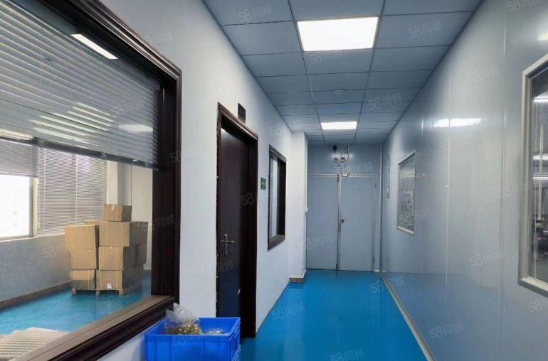 凤岗现成 无尘车间出租900平 精装办公室