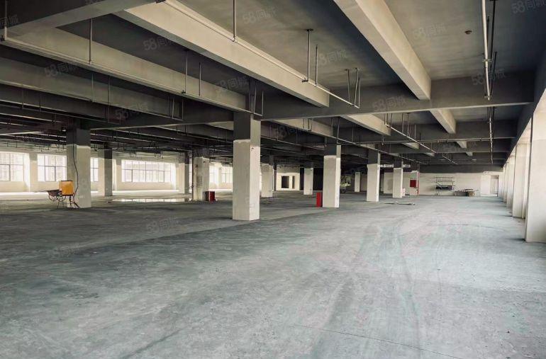 凤岗金凤凰原房东楼上5000平整层，可分租，全新厂房带卸货平