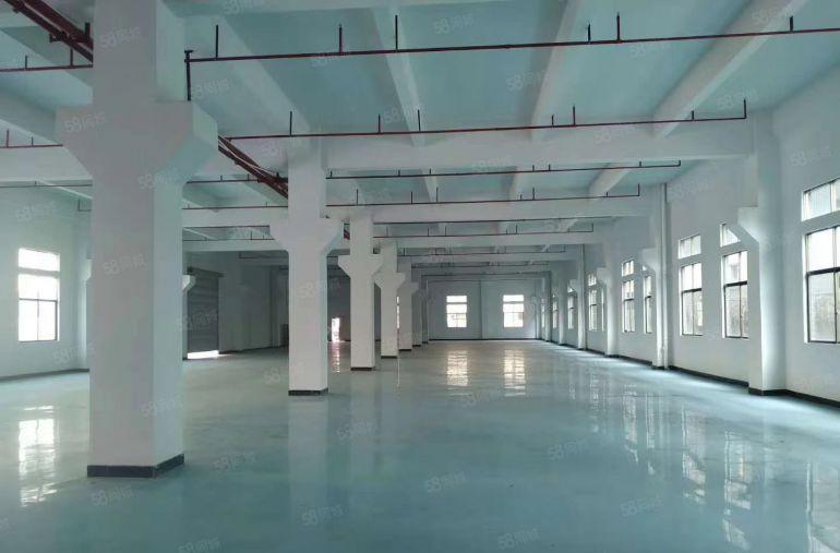 凤岗原房东独栋8000平单层2000平豪华装修厂房出租