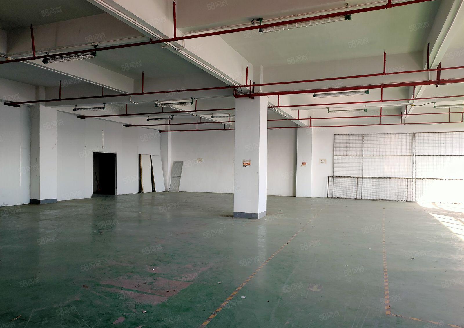 出租楼上1600平带 有地坪漆 带卸货平台 办公室 3吨货梯