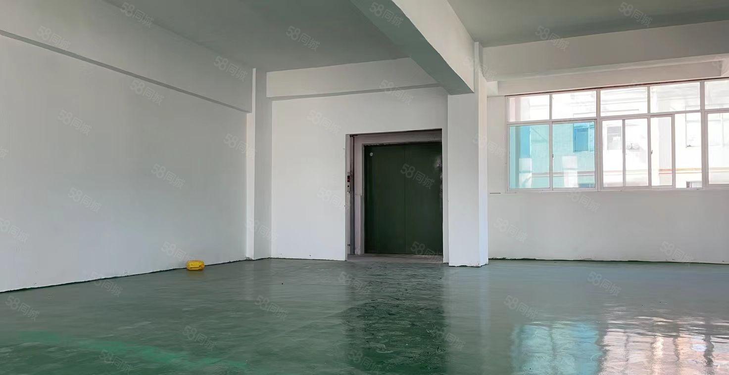 雁田新出楼上500平 带有地坪漆 园区形象佳  带环评