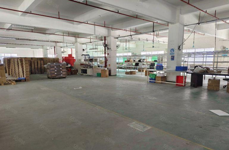 原房东出租 凤岗金凤凰楼上2000平厂房出租 有现成办公室