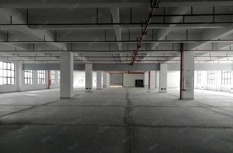 凤岗黄洞原房东全新厂房75000平出租500平分租主线到车间