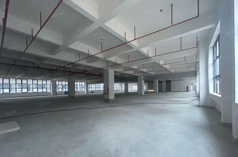 十元一平500平起租凤岗原房东全新厂房低价出租可办环评