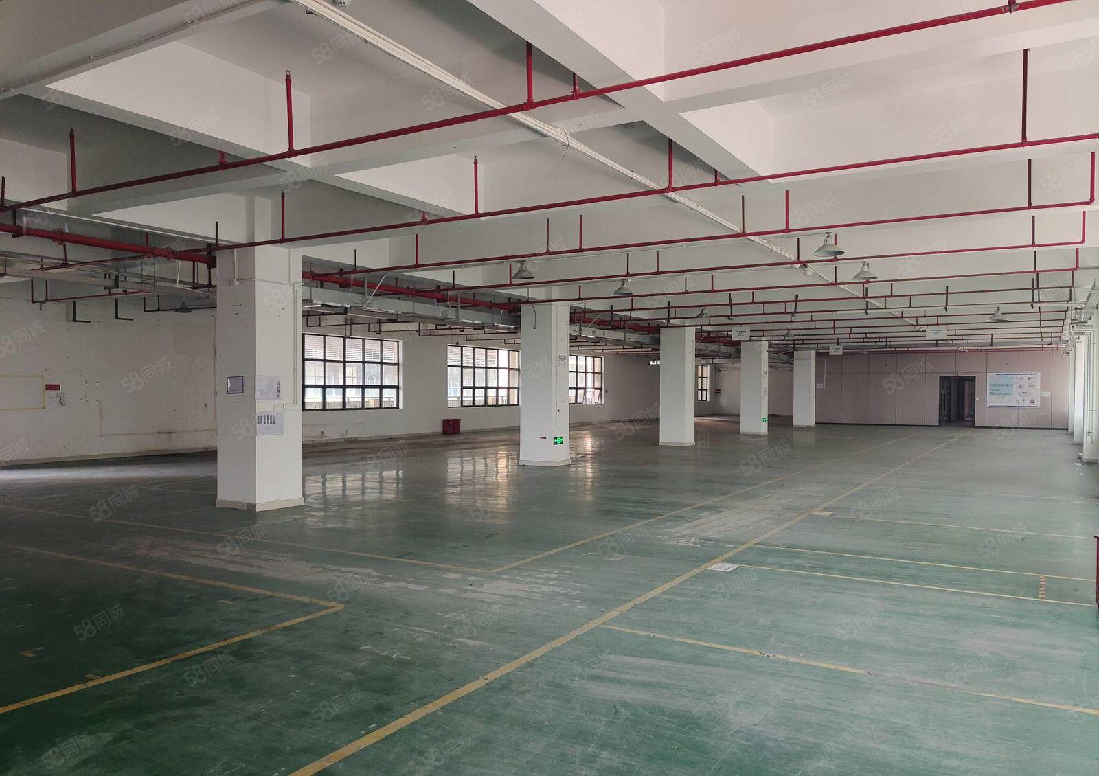 凤岗您要形象靓的厂房3楼2200平方红本花园式美到冒泡好招工