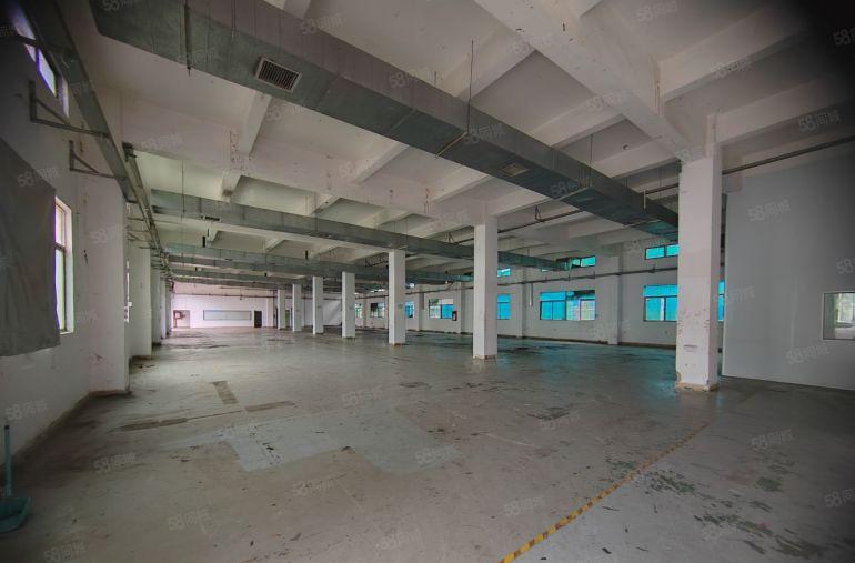 凤岗金凤凰工业园.原房东独门独院一楼分租1500平方可办环评