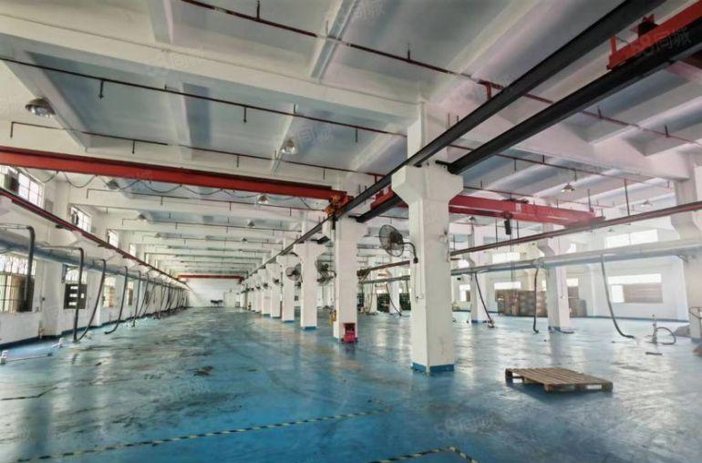 凤岗原房东独院一楼厂房出租，7.5米高带牛角行车空地超大免费