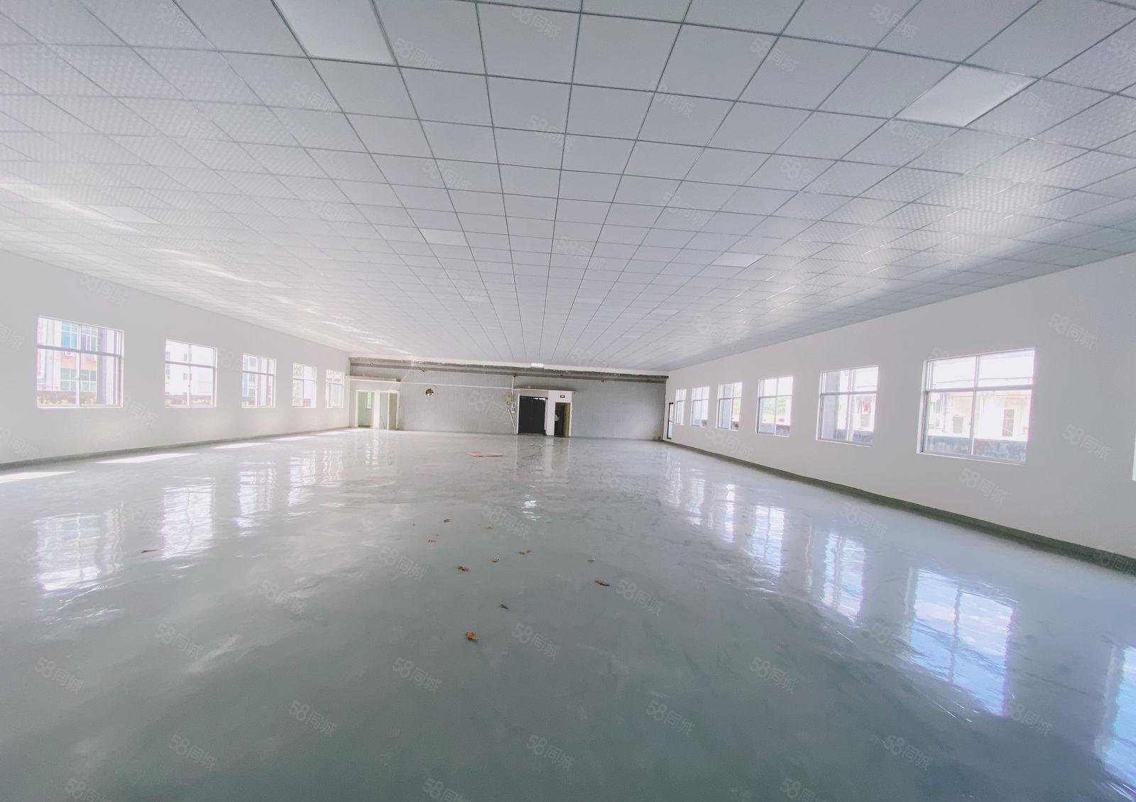 凤岗金凤凰工业区全新装修1000平租金12现成水电办公室