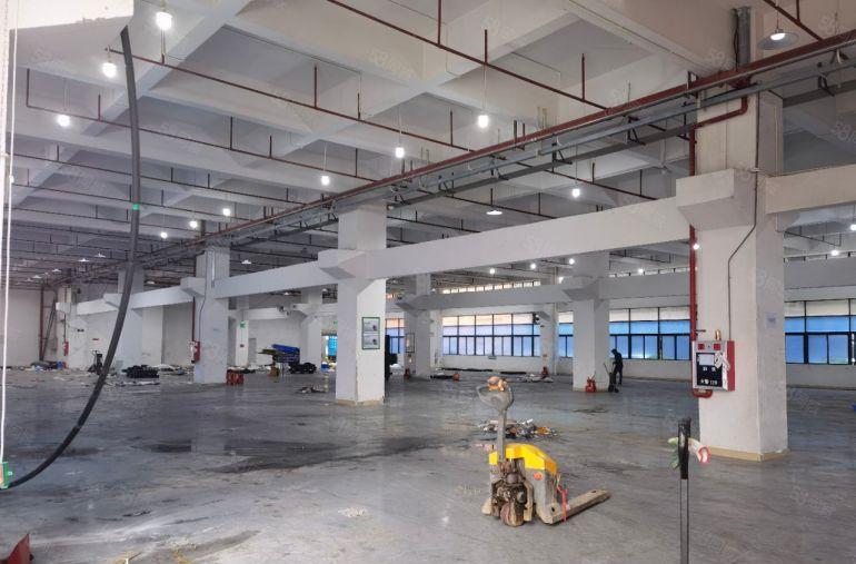 原房东7米高一楼厂房）凤岗新出2000平米带牛角装修厂房出租