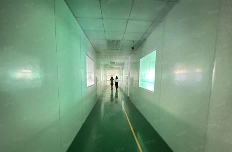 全新地坪漆天花吊顶现成装修办公室厂房出租1250平凤岗黄洞