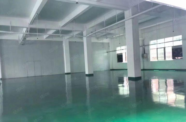凤岗雁田布心工业区新出二楼500平方带地坪漆附近好招工12元
