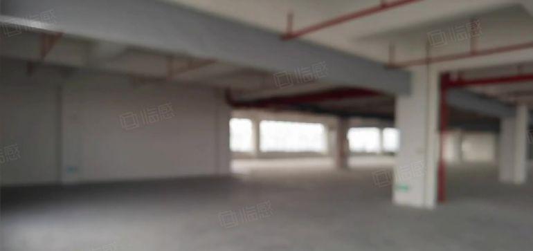 原业主0公摊直租！凤岗金凤凰独栋10000平红本厂房仓库出租