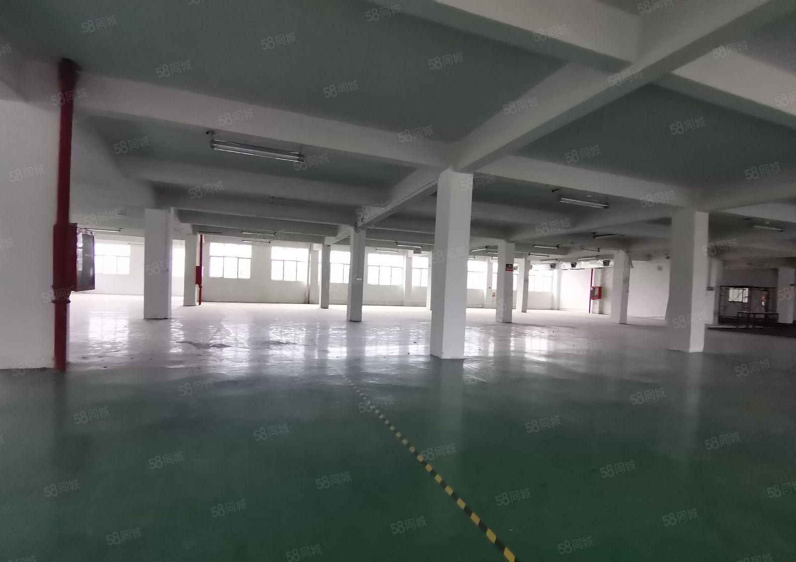 凤岗大龙工业区原房东2千平独栋仓库厂房出租可分租靠近主干道旁