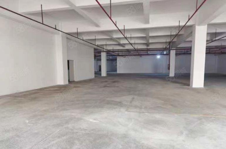 凤岗雁田村电商仓库招租4000平方500起分