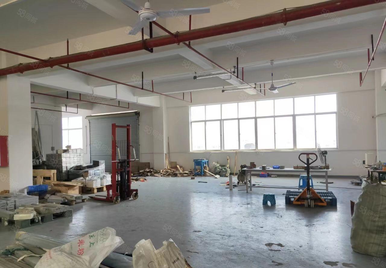 凤岗浸校塘全新装修现成办公室水电齐全700平租金19