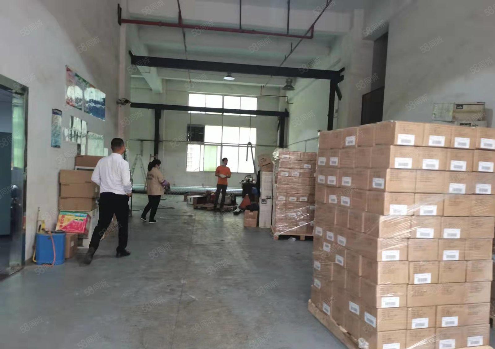 凤岗金凤凰层高6米 五金注塑模具设备一楼厂房出租1500平