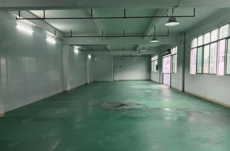 凤岗金凤凰工业区标准厂房五楼500平出租带办公室装修现成水电