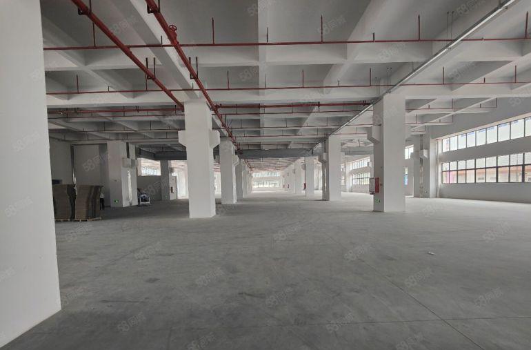 常平镇国有双证带红本原房东独院厂房实际面积出租工业用地好招工