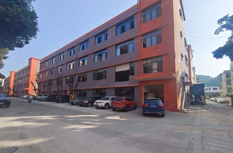 凤岗镇小独栋3000平方，价格13元，高度8米，形象好