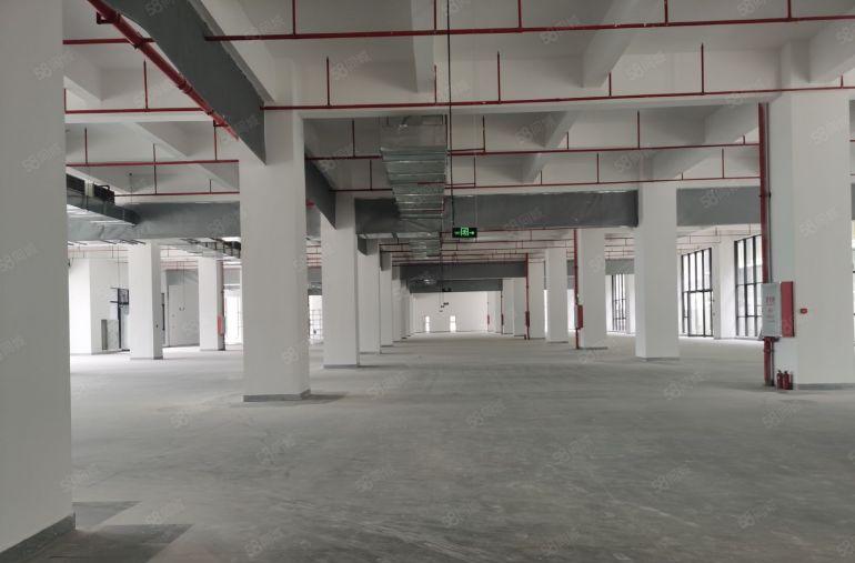 凤岗五联1000平起全新红本单层面积2500平厂房仓库出租