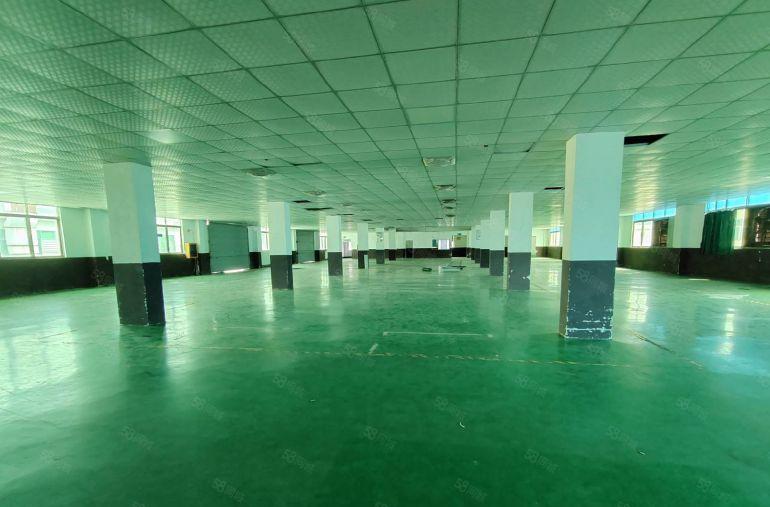 东莞凤岗竹塘厂房出租5千平原房东厂房出租独院塘厦清溪独门独院