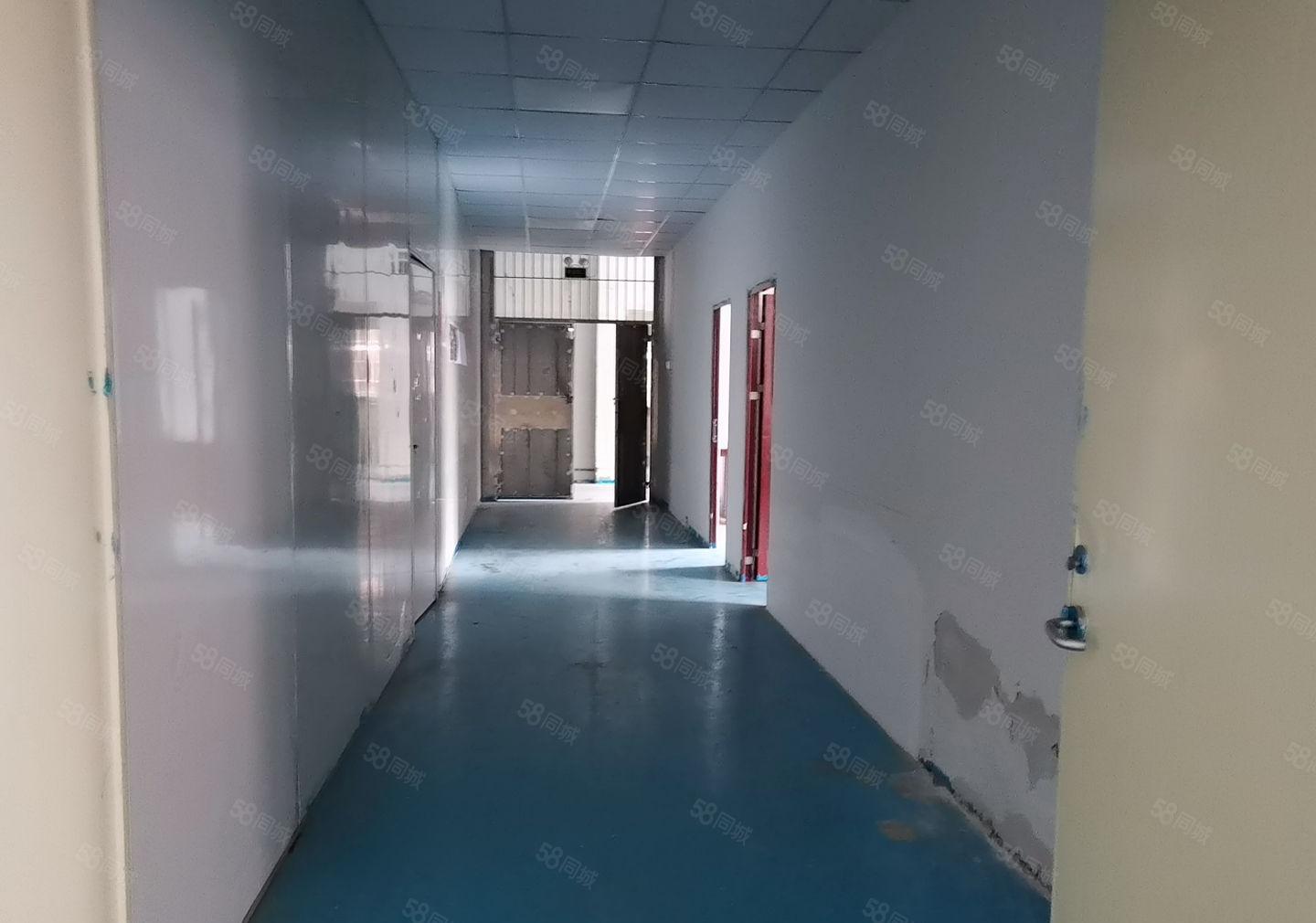 凤岗雁田水贝工业区新出一楼高度5米1350平方，空地大