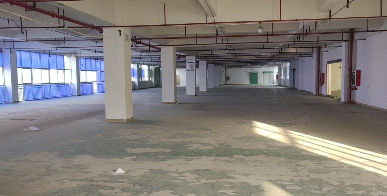 凤岗开达工业园独院2800平仓库厂房出租可分租