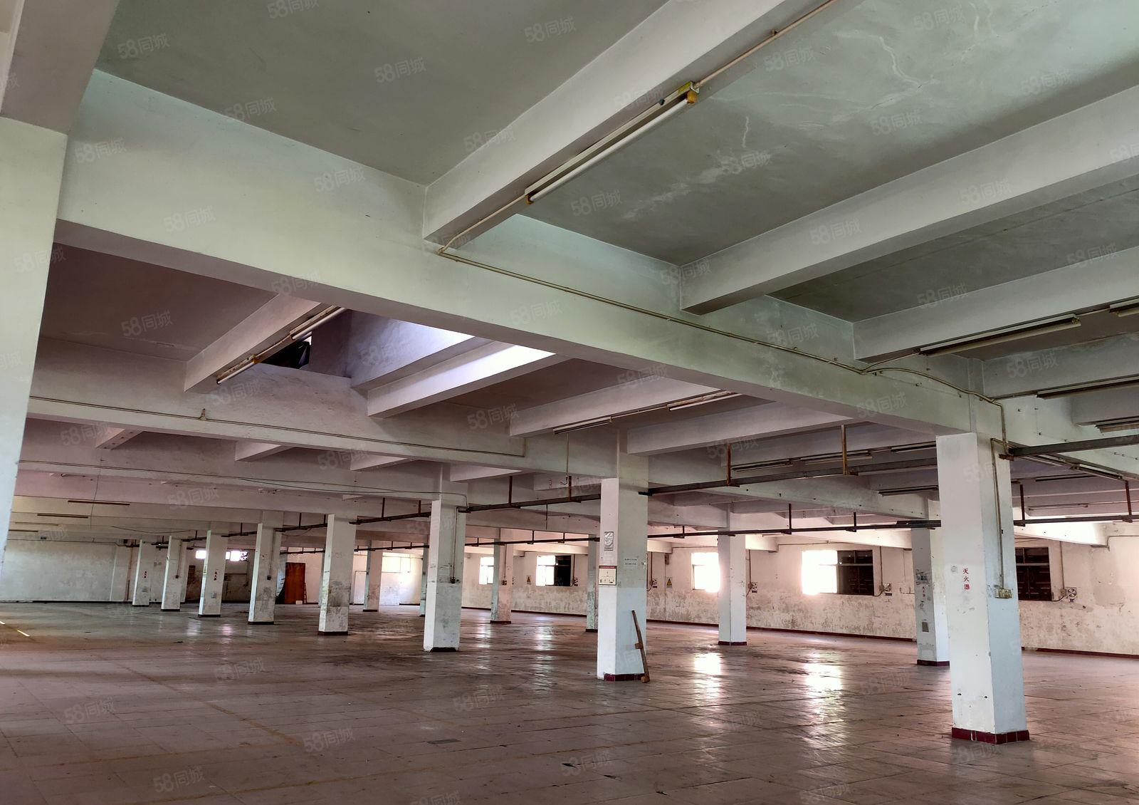 出租凤岗（临深）村委花园式独门独院，可办环评 带红本