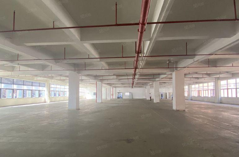 凤岗工业园新空带精美装修办公室厂房出租，丙二类消防低价甩租