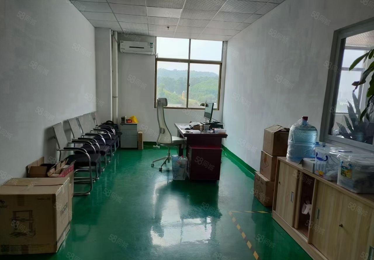 凤岗镇雁田村6楼800平方，地板漆，贸易合适，。