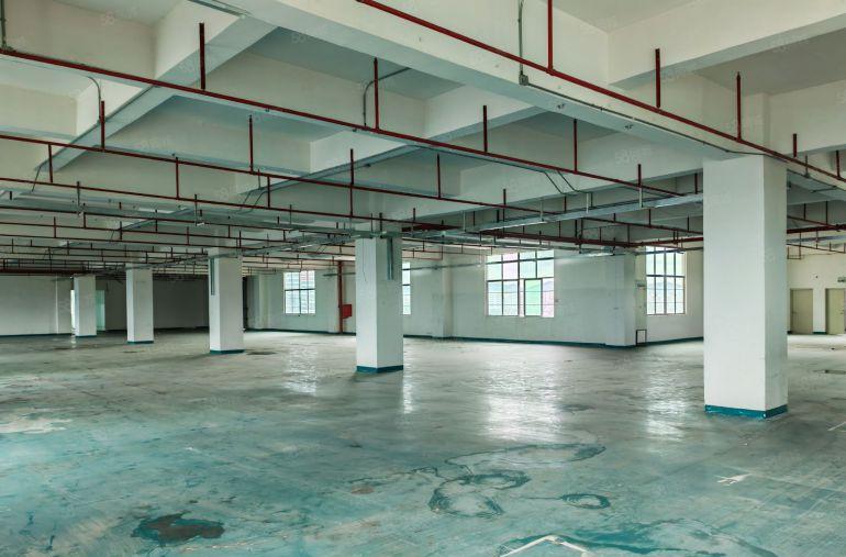 凤岗金凤凰厂房仓库出租2000平（500平起分）拖头进出方便