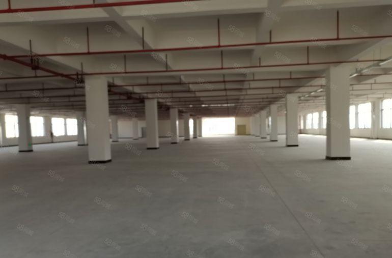 凤岗镇中心附近全新独栋标准36000重工业厂房招租