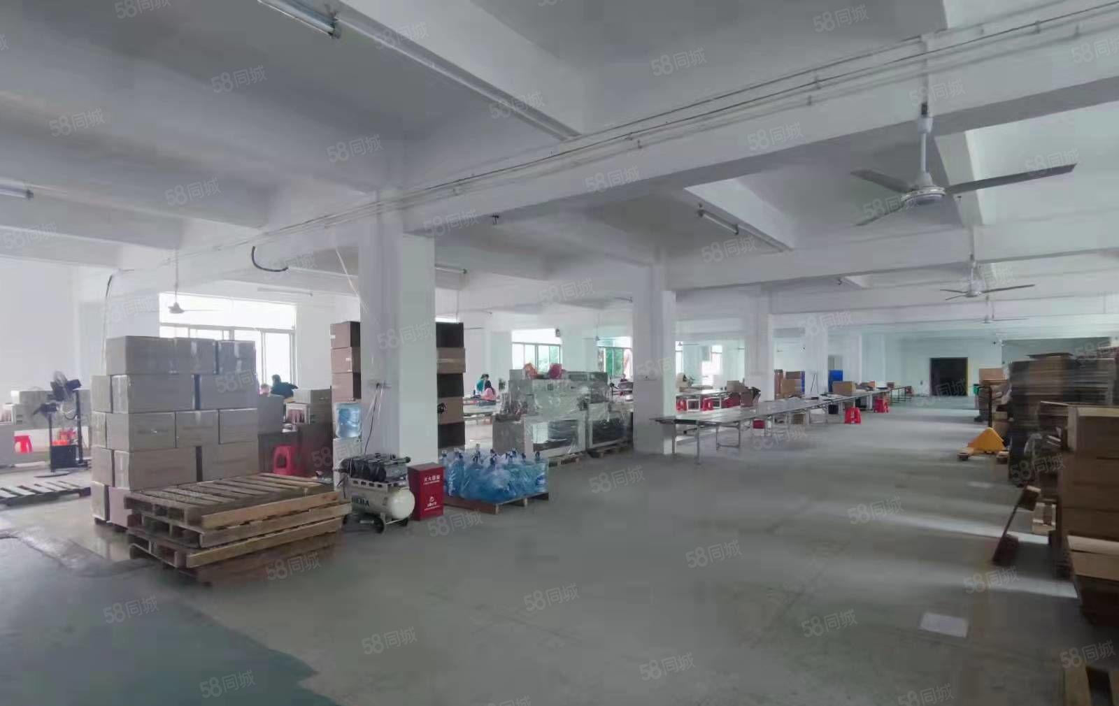 凤岗浸校塘三层独门独院厂房出租6500平合同期长 适合各行业