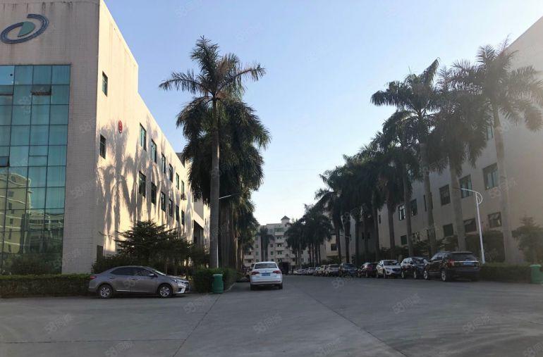 凤岗雁田靠深圳新出楼上一整层6500平厂房仓库出租，大小分租