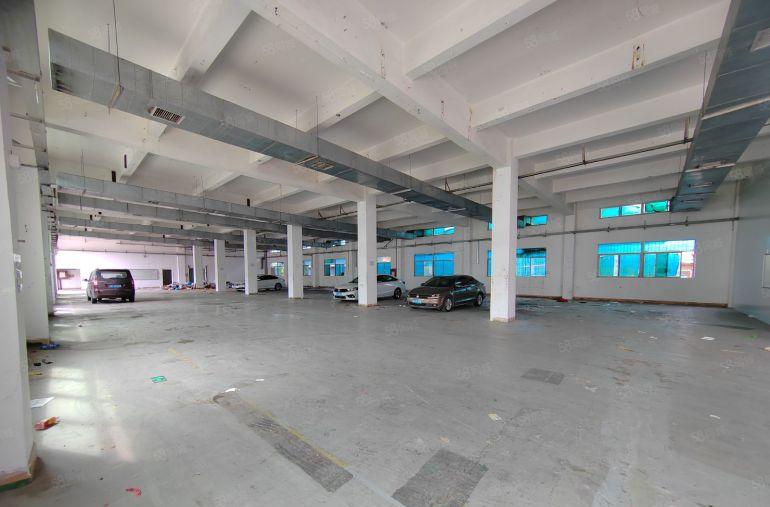 东莞市凤岗观井头原房东工业园一楼1500平方实际面积出租