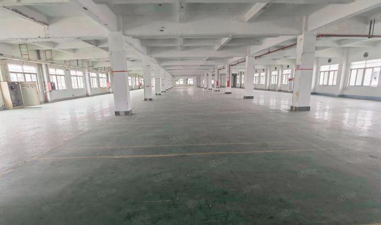 凤岗原房东分租3楼3000平带装修300平起分