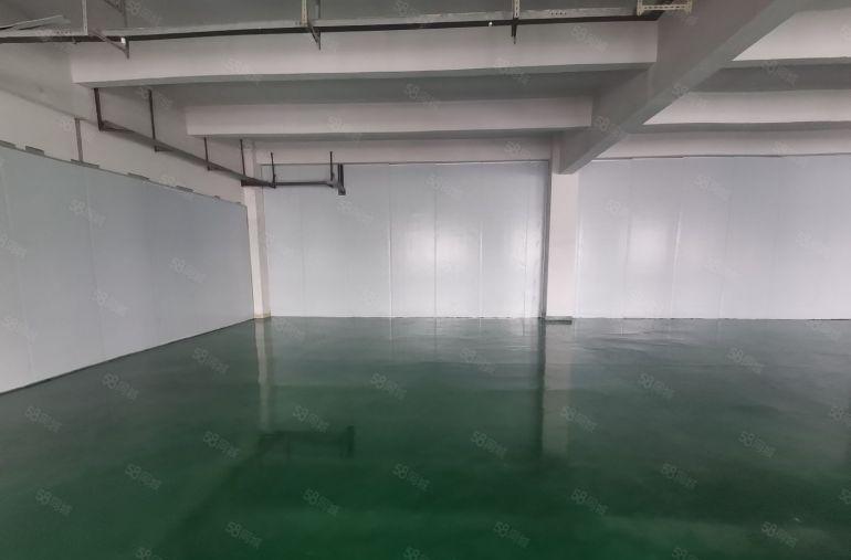 凤岗楼上厂房600平精装修带办公室全新地坪漆配三吨大货梯