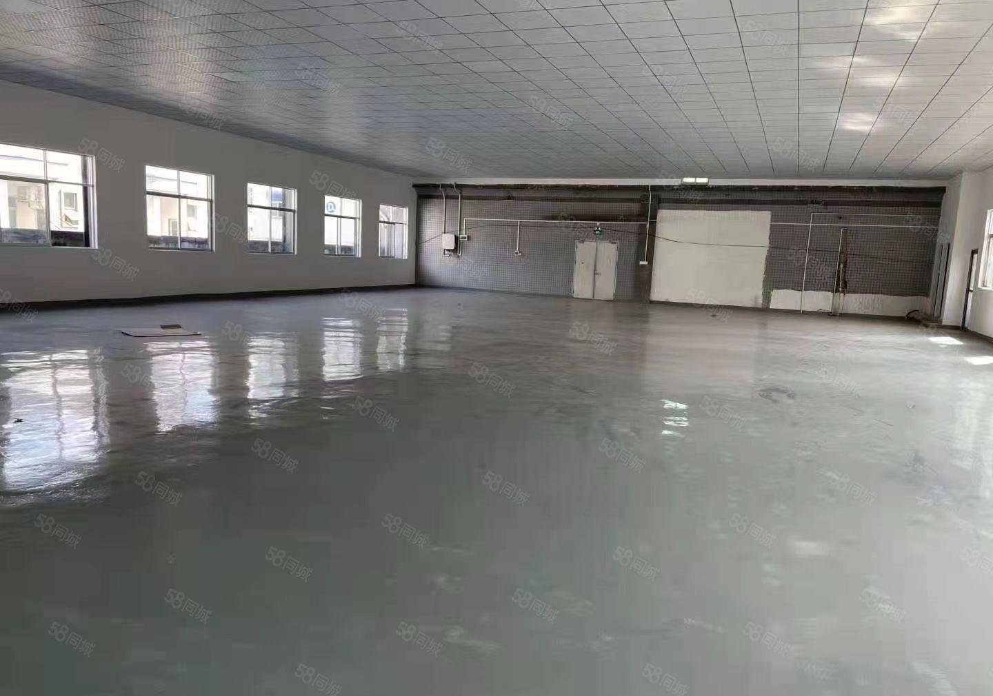 凤岗金凤凰工业区全新装修1000平租金12现成水电办公室