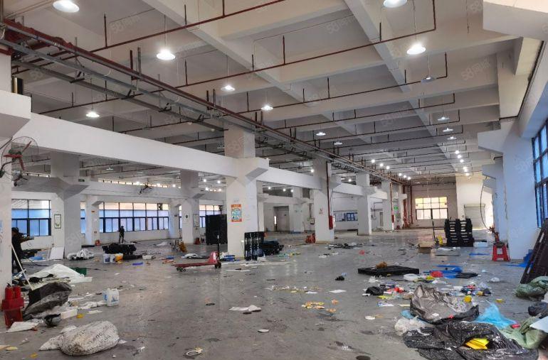 原房东7米高一楼厂房）凤岗新出2000平米带牛角装修厂房出租