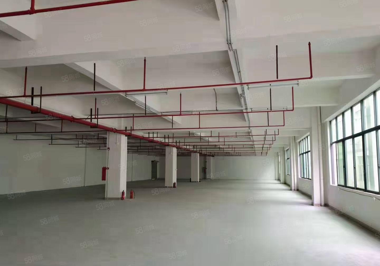 全新装修二楼1100平米可分租两家带电梯，地坪漆办公室装修