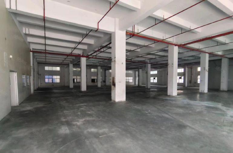 凤岗雁田布心新出一楼3000平方二楼1300平方原房东低价租