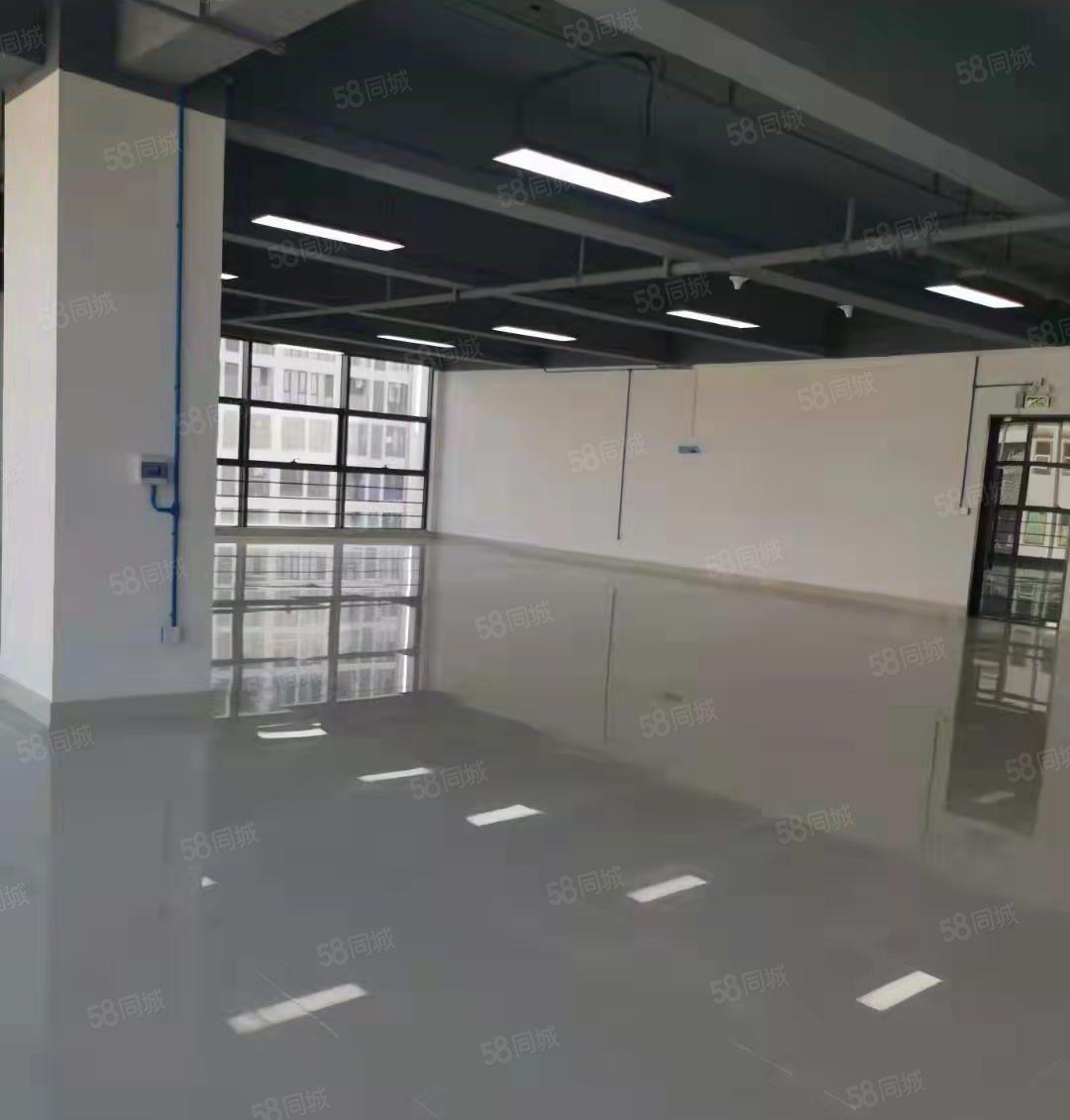 靠主干道旁 凤岗金凤凰楼上带装修电商仓库厂房出租310平方