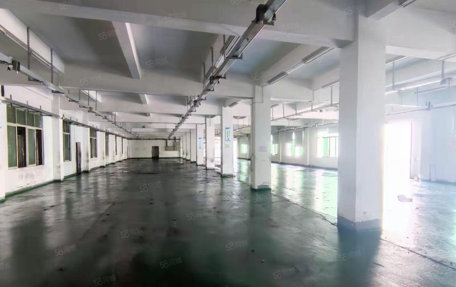 凤岗油甘埔红本独院厂房6000平出租形象好交通方便（可分租