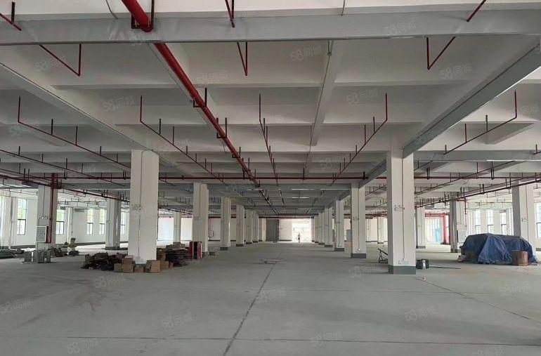 凤岗新出电商仓储大平层厂房整层面积6300平