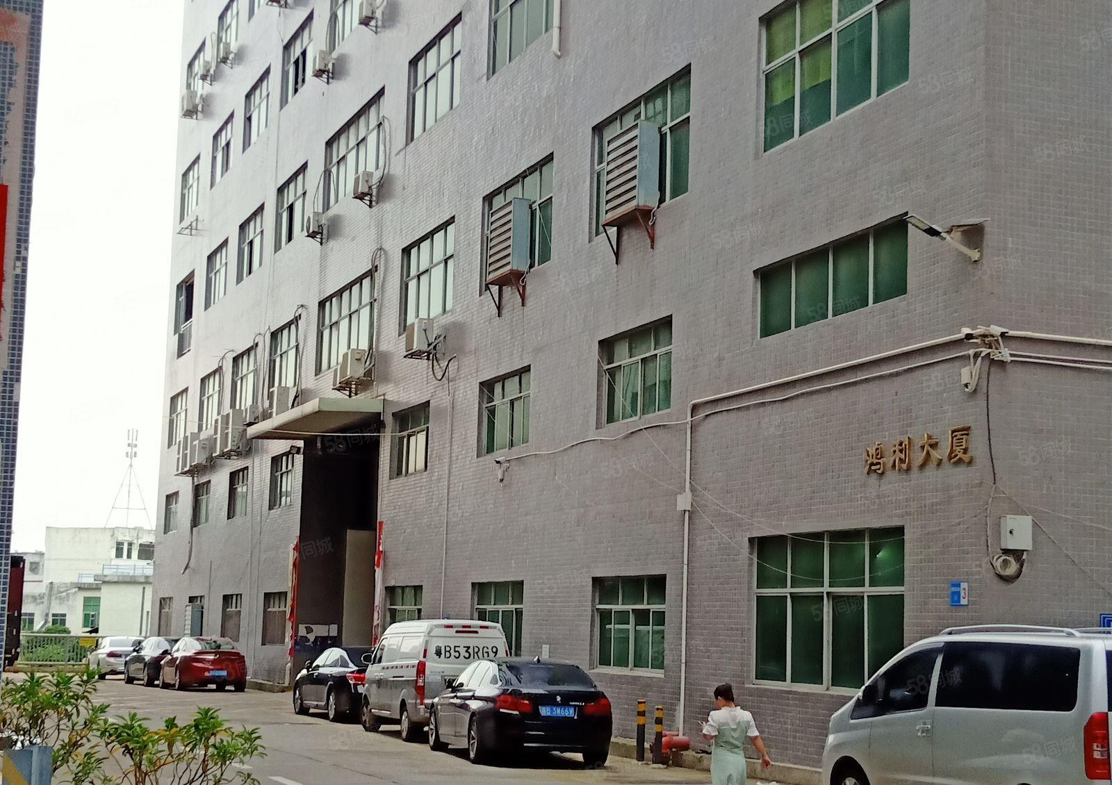 布心高新科技园1500平米标准一楼厂房出租带精装修免中介费