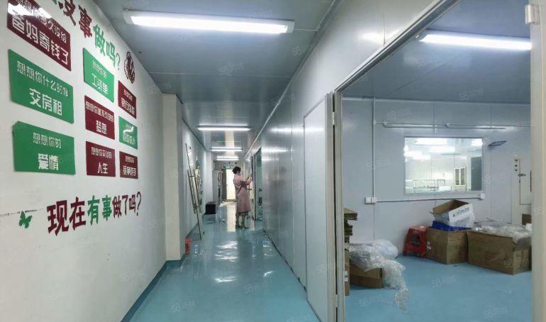 凤岗雁田楼上无尘厂房750平，办公室水电全无转让费低价出租