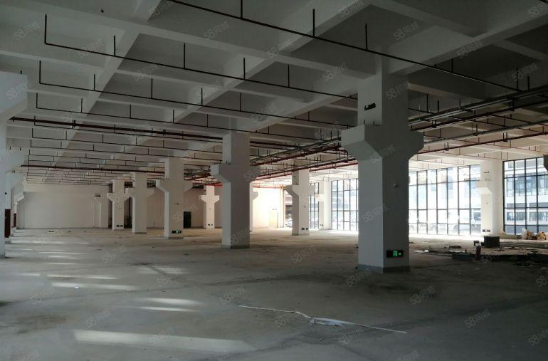 凤岗黄洞原房东全新厂房75000平出租500平分租主线到车间