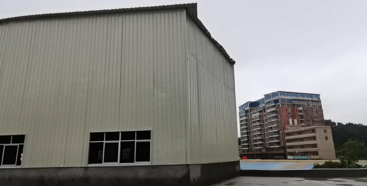 官井头宏骏工业园房东独栋2500平红本标准仓库厂房出租可分租