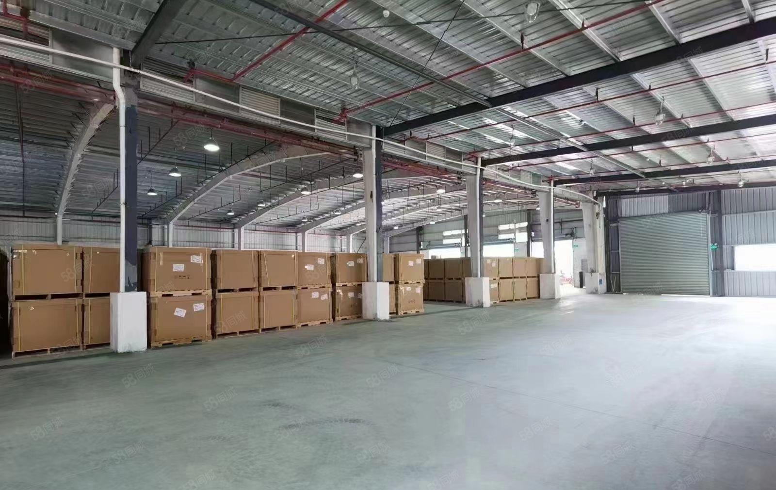 凤岗金凤凰8米高独院钢构3000平方厂房仓库出租