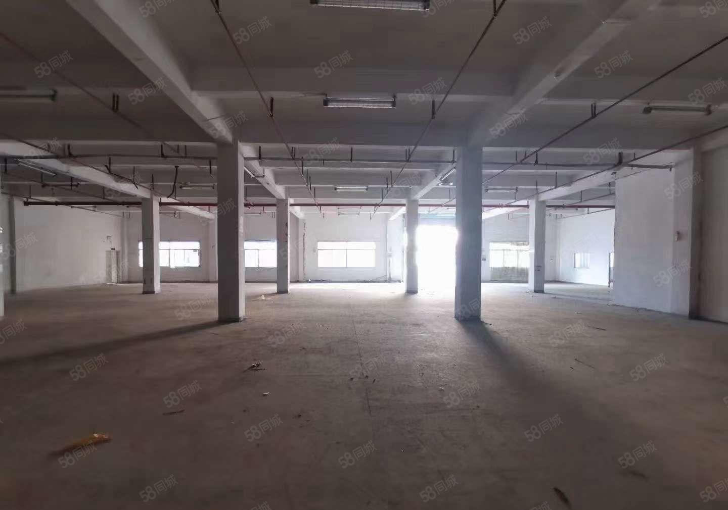 超大空地 凤岗金凤凰独院厂房出租10800平可分 适合各行业